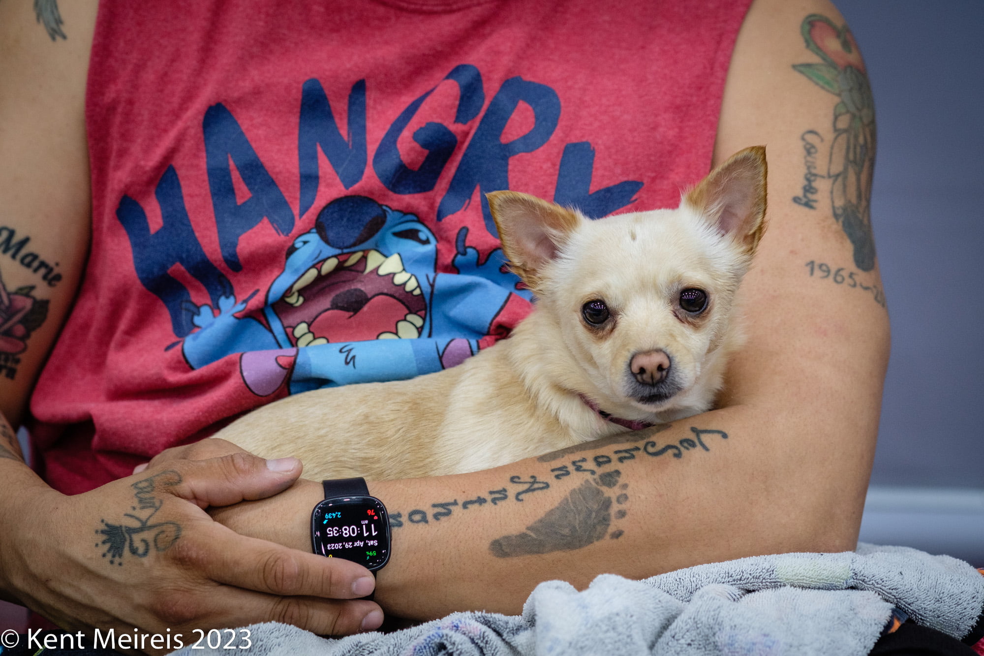 Arlee Spay and Neuter Clinic